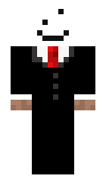 SteveBlocks minecraft skin