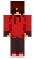 sjdtx minecraft skin