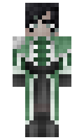 rloe minecraft skin
