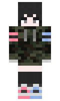 RaidTheWeb minecraft skin