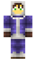 Vikiz minecraft skin