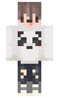 Zeets minecraft skin