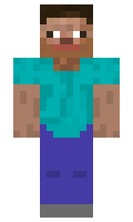 Daccoss minecraft skin