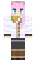 402c8a7eca807d minecraft skin