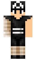 PokePal123 minecraft skin