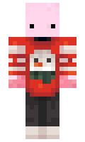 40325e1d065362 minecraft skin