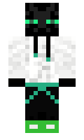 LlamamasterWoW minecraft skin