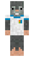403eba6efd7c9f minecraft skin