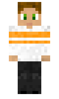 AshDruid minecraft skin