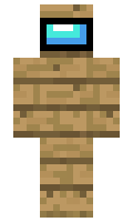 40767a1640a956 minecraft skin