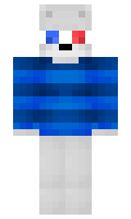 hivee minecraft skin