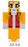 dashflashcat minecraft skin