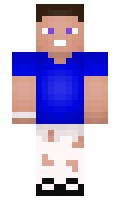 vladus009 minecraft skin