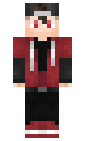 TORD minecraft skin