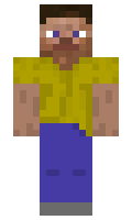 40ffd09163e49d minecraft skin