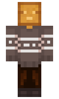 TotaledToast minecraft skin