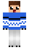 pedrogamer20 minecraft skin
