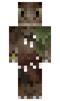 TeyoRhee minecraft skin