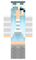 Contract minecraft skin