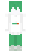 4124c6d5d4d238 minecraft skin