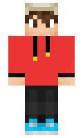 Hollande minecraft skin
