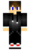 max2017 minecraft skin