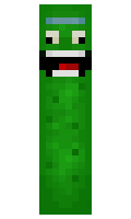MSC minecraft skin