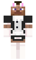 Raer minecraft skin