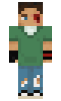 41805e3f9376ee minecraft skin