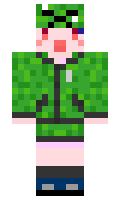 1010 minecraft skin