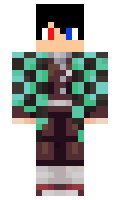 41e17f6686e607 minecraft skin