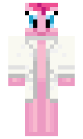 DFS minecraft skin