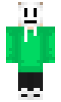 41f5002b47014c minecraft skin