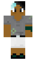 41f9bfbf1f4456 minecraft skin