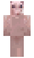 bebnlegg minecraft skin