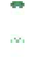 41ffd79f497ccf minecraft skin