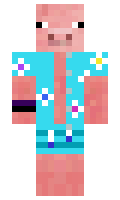 421575a94b9cef minecraft skin