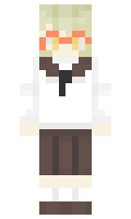 H6X6 minecraft skin