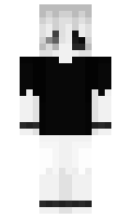 set2 minecraft skin