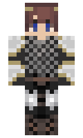 423b3d370bb25a minecraft skin