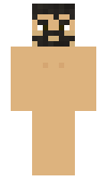 424b5dc8980490 minecraft skin