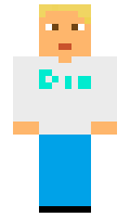 Fizard minecraft skin