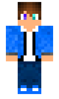 XylinThePhoenix minecraft skin