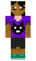 xVeerocks minecraft skin
