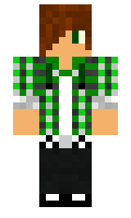 arako minecraft skin