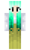 42d382f2f49cbf minecraft skin