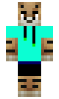 makkolunis minecraft skin