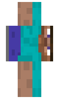 42f2421f213850 minecraft skin