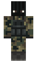 43003cabbc8fcc minecraft skin