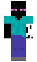 430d3797b37fdd minecraft skin